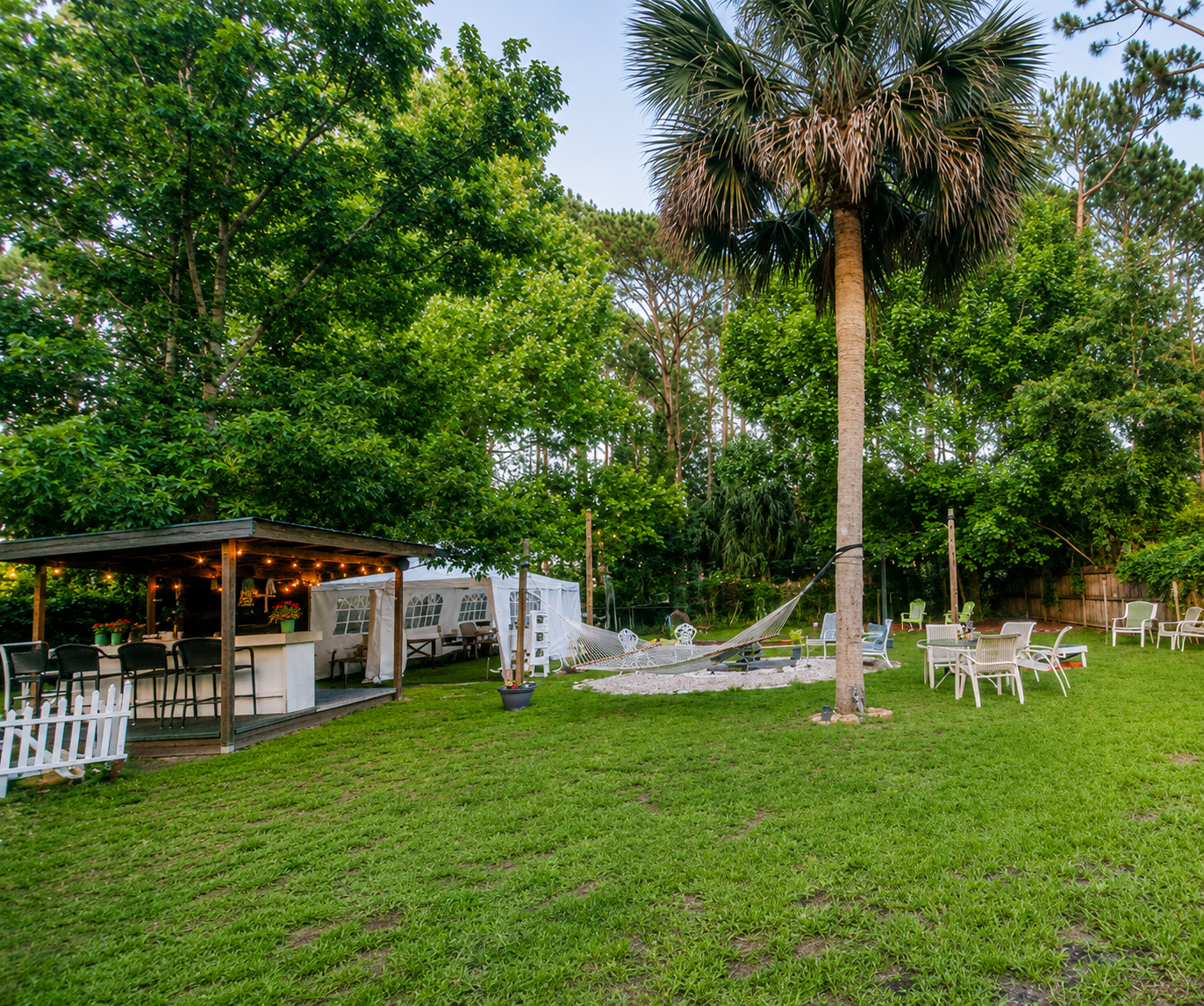 The Holy Acres backyard with a palm tree, outdoor bar, hammock, and gathering seats