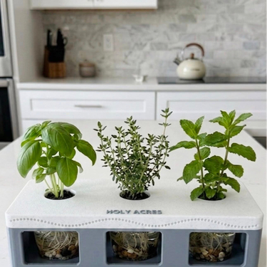 Indoor Herb Garden Kit