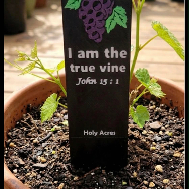 Inspirational Plant Markers Bundle